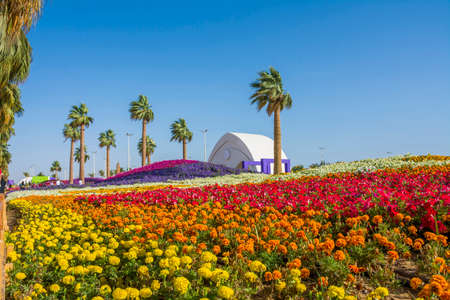 Flower carpet in Yanbu flower show, The Yanbu Flower Festival is one of the biggest festivals in Saudi Arabia. In the 2017 edition of it they managed to make the largest carpet of flowers/plantsのeditorial素材