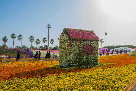 Flower carpet in Yanbu flower show, The Yanbu Flower Festival is one of the biggest festivals in Saudi Arabia. In the 2017 edition of it they managed to make the largest carpet of flowers/plantsのeditorial素材