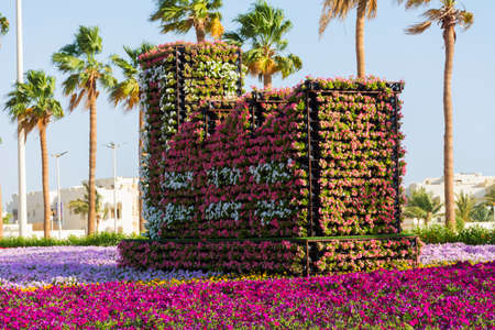 Flower carpet in Yanbu flower show, The Yanbu Flower Festival is one of the biggest festivals in Saudi Arabia. This photo was taken at Yanbu ( 16-03-2018 )のeditorial素材
