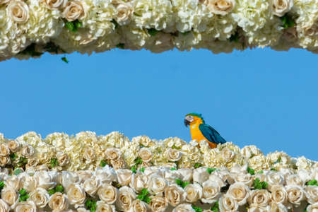 Flower carpet in Yanbu flower show, The Yanbu Flower Festival is one of the biggest festivals in Saudi Arabia. This photo was taken at Yanbu ( 16-03-2018 )のeditorial素材