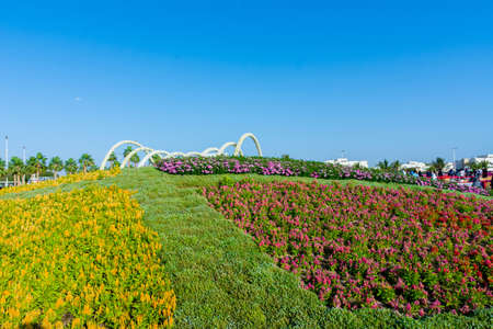 Flower carpet in Yanbu flower show, The Yanbu Flower Festival is one of the biggest festivals in Saudi Arabia. This photo was taken at Yanbu ( 16-03-2018 )のeditorial素材