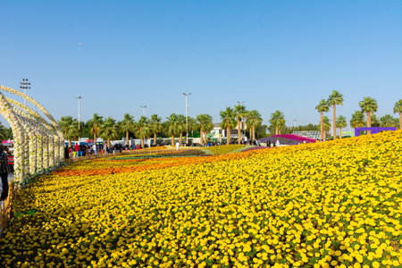 Flower carpet in Yanbu flower show, The Yanbu Flower Festival is one of the biggest festivals in Saudi Arabia. This photo was taken at Yanbu ( 16-03-2018 )のeditorial素材