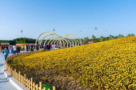 Flower carpet in Yanbu flower show, The Yanbu Flower Festival is one of the biggest festivals in Saudi Arabia. This photo was taken at Yanbu ( 16-03-2018 )のeditorial素材