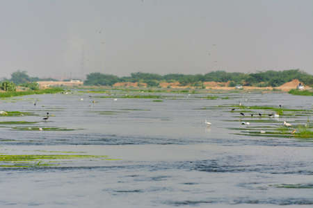Beautiful river at Jeddah, Saudi arabiaの写真素材