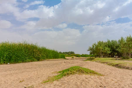 Beautiful landscape from Taif, Saudi arabiaの写真素材