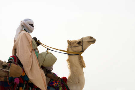 Camels march in Souk okaz historical festival in Taif, Saudi arabia (29-06-2018). The Souk Okaz...
