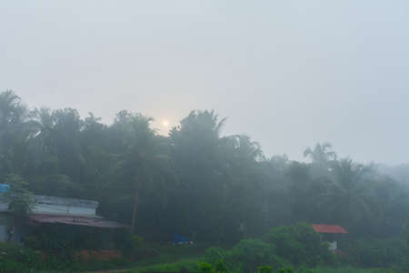 Foggy morning Sunrise, Kerala, South Indiaの写真素材