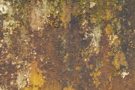 paint scratch patterrn background textureの写真素材