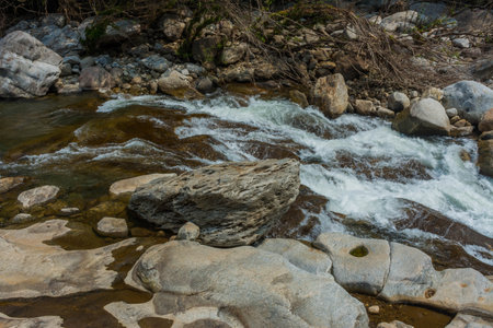 The Kunthipuzha River is a waterway located in the state of Kerala, India. It flows through the Silent Valley National Park, and is a tributary of the river Thuthapuzha, which is in turn one of the main tributaries of the Bharathapuzha River, the second-longest river in Kerala. This river is mainly used by the people of Mannarkkad taluk of Palakkad district.の写真素材