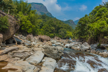 The Kunthipuzha River is a waterway located in the state of Kerala, India. It flows through the Silent Valley National Park, and is a tributary of the river Thuthapuzha, which is in turn one of the main tributaries of the Bharathapuzha River, the second-longest river in Kerala. This river is mainly used by the people of Mannarkkad taluk of Palakkad district.の写真素材