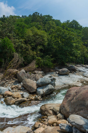 The Kunthipuzha River is a waterway located in the state of Kerala, India. It flows through the Silent Valley National Park, and is a tributary of the river Thuthapuzha, which is in turn one of the main tributaries of the Bharathapuzha River, the second-longest river in Kerala. This river is mainly used by the people of Mannarkkad taluk of Palakkad district.の写真素材