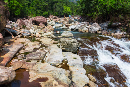 The Kunthipuzha River is a waterway located in the state of Kerala, India. It flows through the Silent Valley National Park, and is a tributary of the river Thuthapuzha, which is in turn one of the main tributaries of the Bharathapuzha River, the second-longest river in Kerala. This river is mainly used by the people of Mannarkkad taluk of Palakkad district.の写真素材