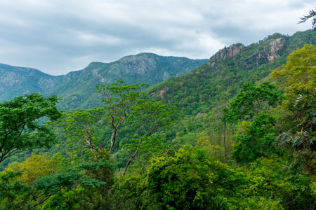 Beautifull view of Kolli Hills, Tamil nadu, Indiaの写真素材