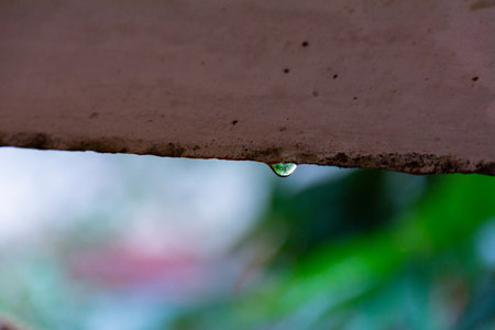 Rain drops, water drops with blured backgroundの写真素材