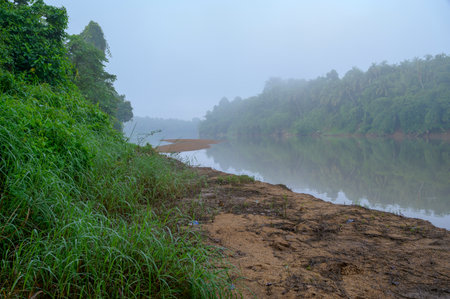 Morning mist in Kunthi River, Vilayur, Palakkad, Kerala, South Indiaの写真素材