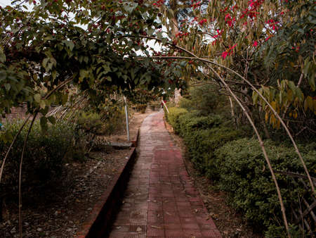 outdoor picture of path with red tile flooring and gate made of bent branches covered with vines.の写真素材