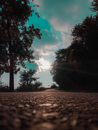 picture of straight road during sunset in evening. himachal pradesh India.の写真素材
