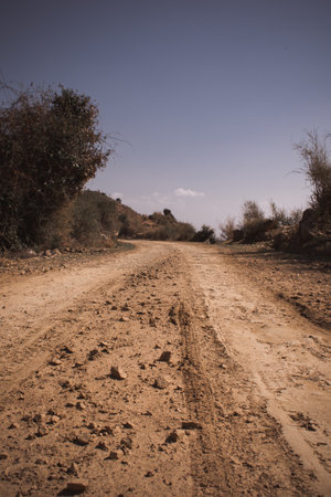 rural dusty road leading to a destination.の写真素材