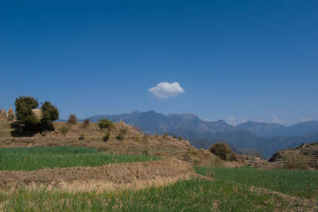 mountain valley green step fields in himachal pradesh, India.の写真素材