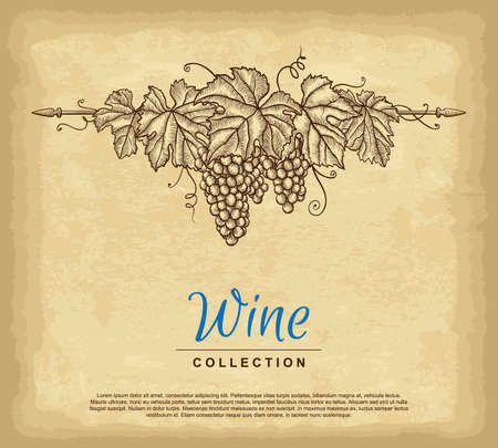 Hand drawn grape wreath. Old paper texture background. Template for your design works. Engraved style vector illustration.のイラスト素材