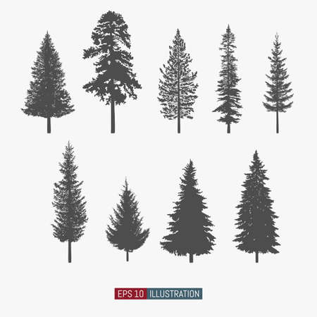 Coniferous tree isolated silhouettes set. Pine tree and fir tree flat icons. Elements for your design works. Vector illustration.のイラスト素材