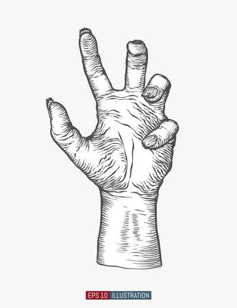 Hand drawn zombie hand. Template for your design works. Engraved style vector illustration.のイラスト素材