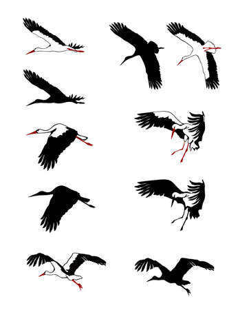 Flying storks silhouettes set. Vector illustration.のイラスト素材