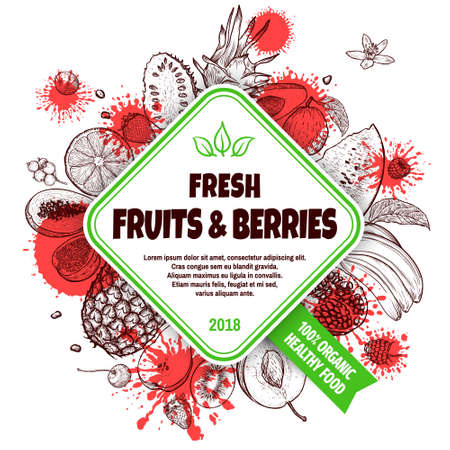 Fresh fruits and berries banner concept. Hand drawn fresh fruits and berries set. Template for your design works. Engraved style vector illustration.のイラスト素材