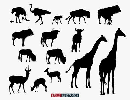 African animals silhouettes set. Ostrich, giraffe, antelope, wildebeest. Template for your design works. Vector illustration.のイラスト素材