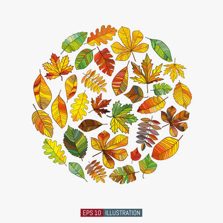 Colored leaves set. Beech, chestnut, elm, maple, oak, rowan and other leaves. Vector illustration.のイラスト素材