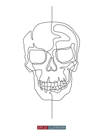 Continuous line drawing of hand drawn skull. Vector illustration. Element for you design works.のイラスト素材
