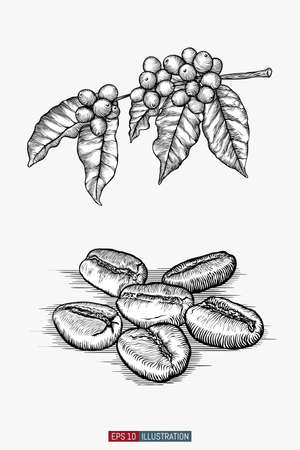 Hand drawn coffee set. Branch, leaves and berries. Coffee beans. Engraved style vector illustration. Template for your design works.のイラスト素材