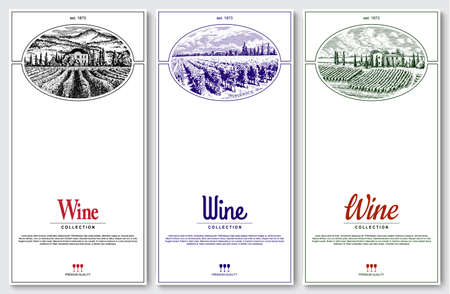 Wine collection card design. Vineyard lanscapes. Vector illustration. Template for your design works.のイラスト素材