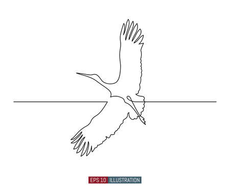 Continuous line drawing of flying stork. Template for your design works. Vector illustration.のイラスト素材