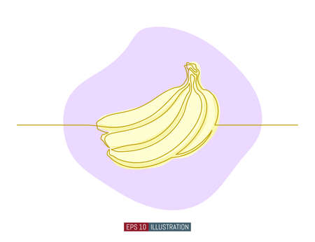 Continuous line drawing of banana. Template for your design. Vector illustration.のイラスト素材