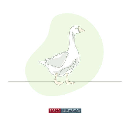 Continuous line drawing of goose. Template for your design works. Vector illustration.のイラスト素材