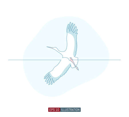 Continuous line drawing of stork. Template for your design works. Vector illustration.のイラスト素材