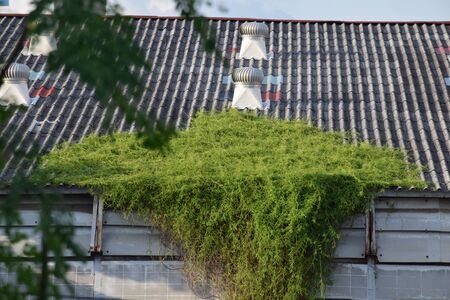 old factoryの写真素材