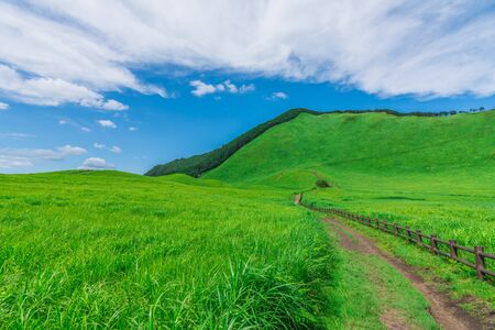 Greengrass against blue sky at Soni plateau,Nara Prefecture,Japanの写真素材