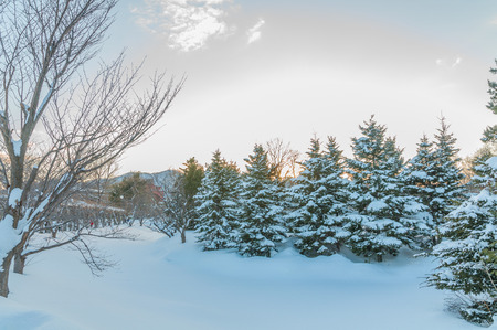 The next day the heavy snow fell, the town area of Sapporo city,Hokkaido,Japanの写真素材