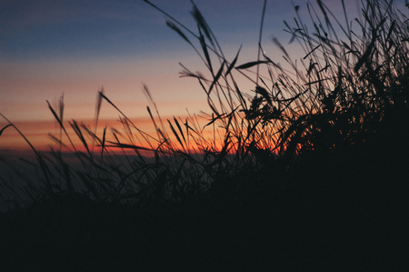 Vintage spiritual sunset wheat fieldの写真素材