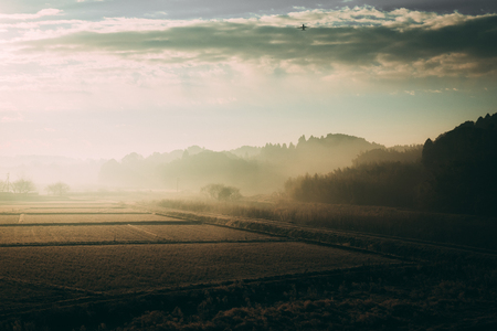 Misty summer mountain hills landscape in Narita,Japanの写真素材