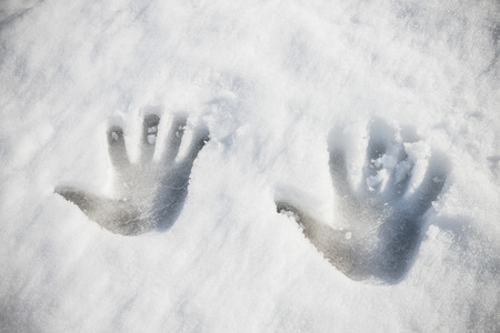 Hand print in snowの写真素材