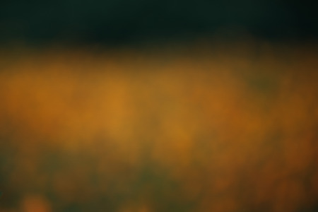 Abstract blurred bokehの写真素材