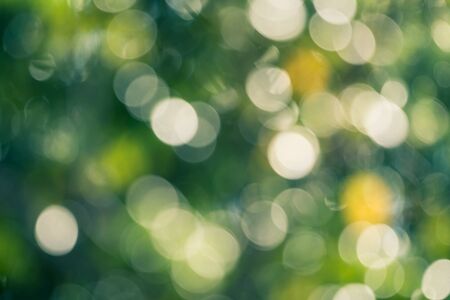 Green bokeh on nature defocus art abstract blur backgroundの写真素材