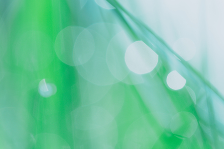 Early morning dew on green grassの写真素材