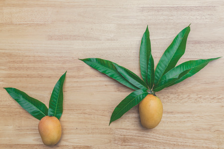 Mango on a wooden tableの写真素材