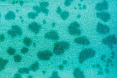 Green leaf textureの写真素材