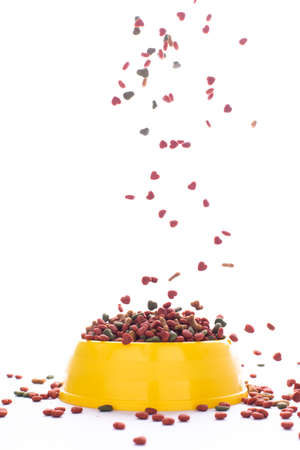 Dried dog food falls into the yellow plastic bowl on white background. grain pet food banner background.の写真素材