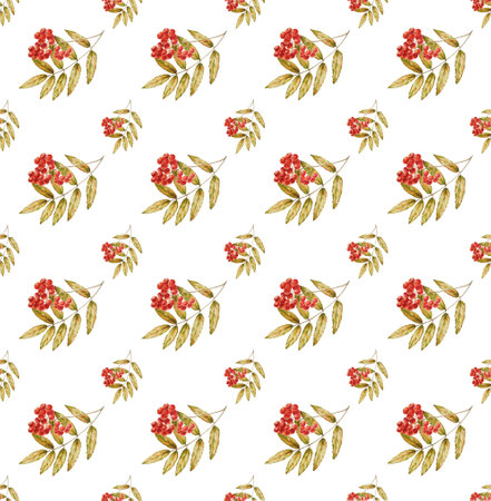 Autumn watercolor isolated seamless patternの写真素材